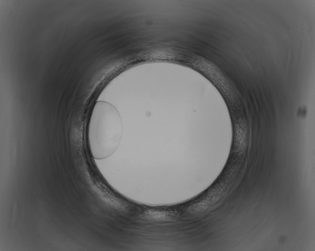 X0000097840534200803140836