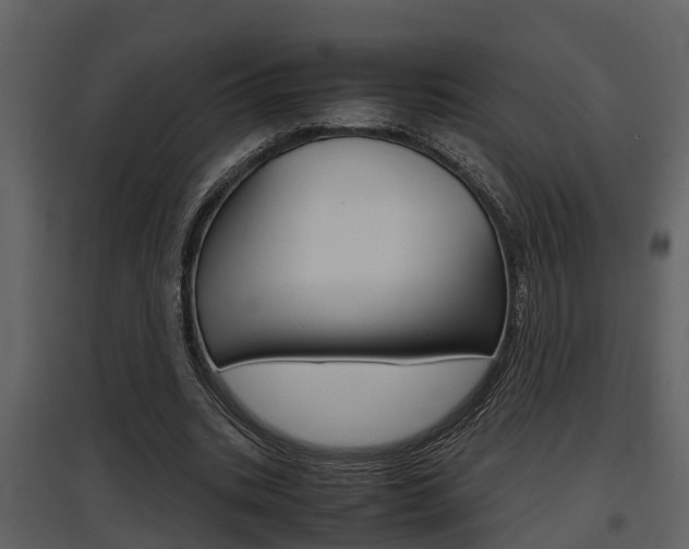 X0000097840535200803140836