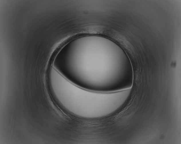 X0000097840536200803140836