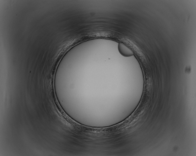 X0000097840537200803140836