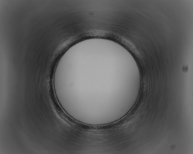 X0000097840538200803140836