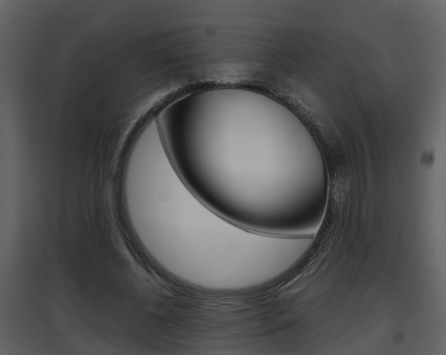 X0000097840540200803140836