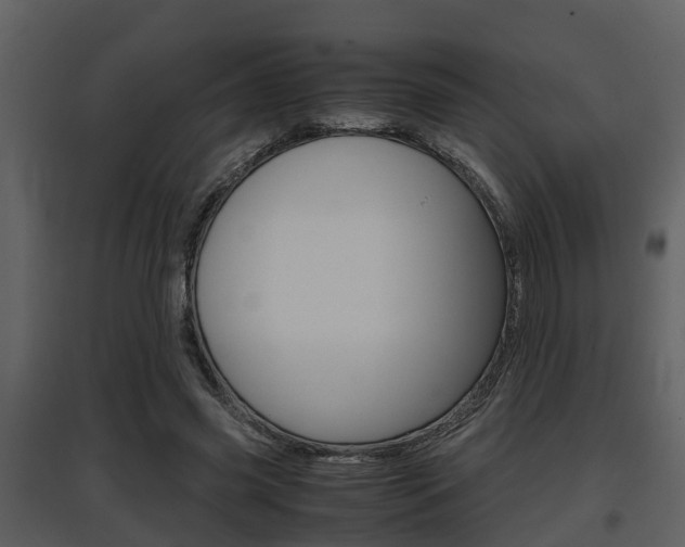 X0000097840541200803140837