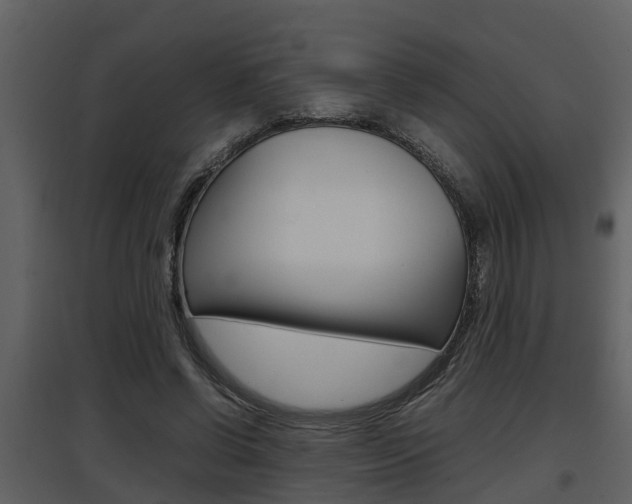 X0000097840542200803140837