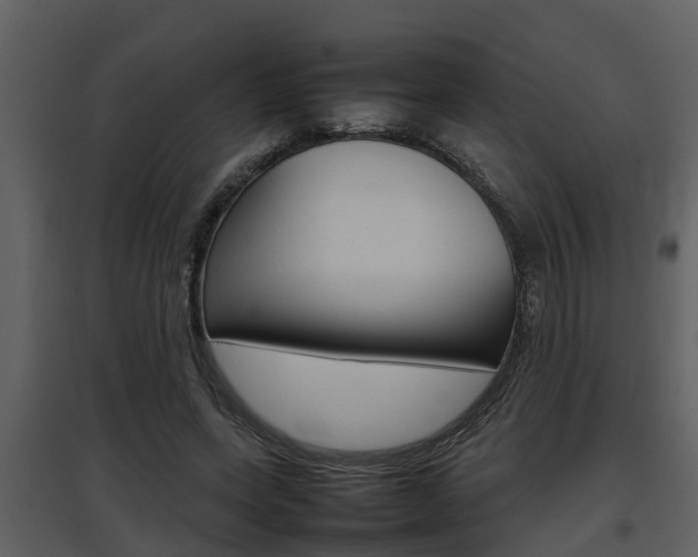 X0000097840543200803140837