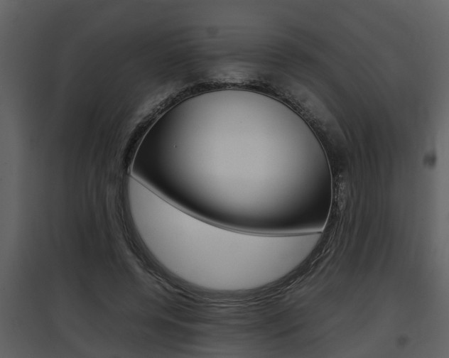 X0000097840544200803140837