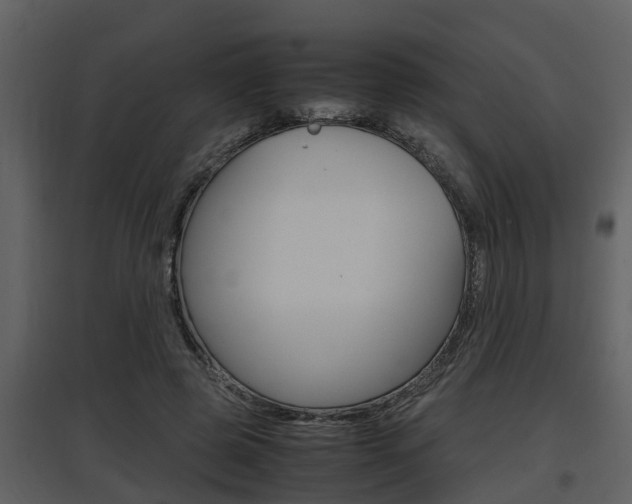 X0000097840545200803140837