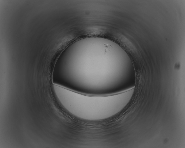 X0000097840546200803140837