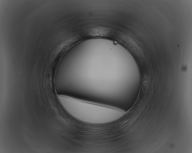 X0000097840547200803140837