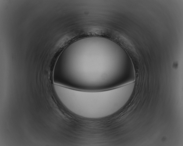 X0000097840548200803140837