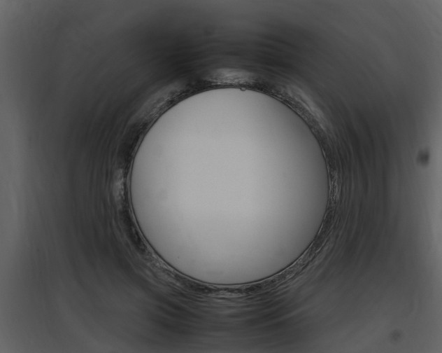 X0000097840549200803140837