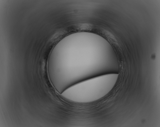 X0000097840550200803140837