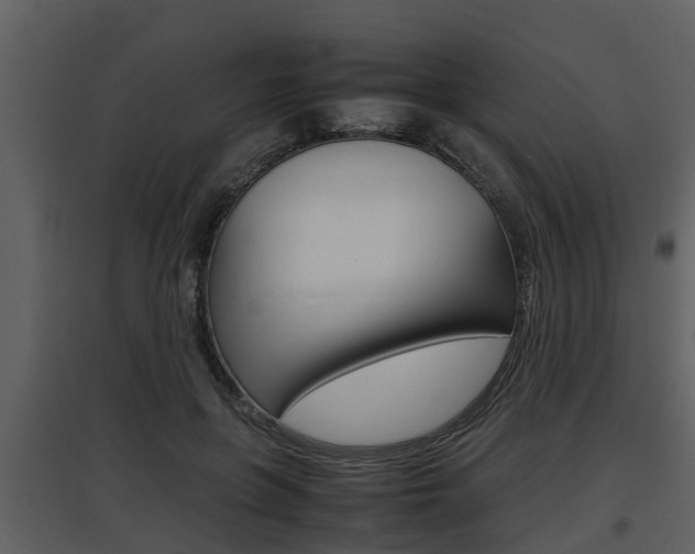 X0000097840551200803140837