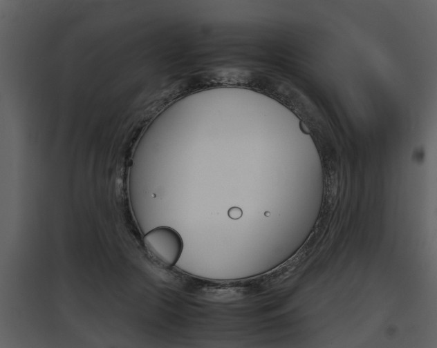 X0000097840553200803140837