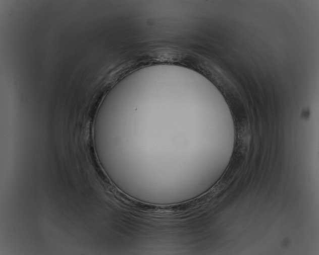 X0000097840554200803140837