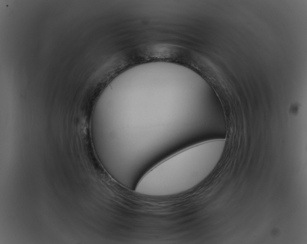 X0000097840555200803140837