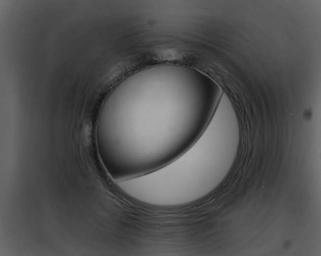 X0000097840556200803140837