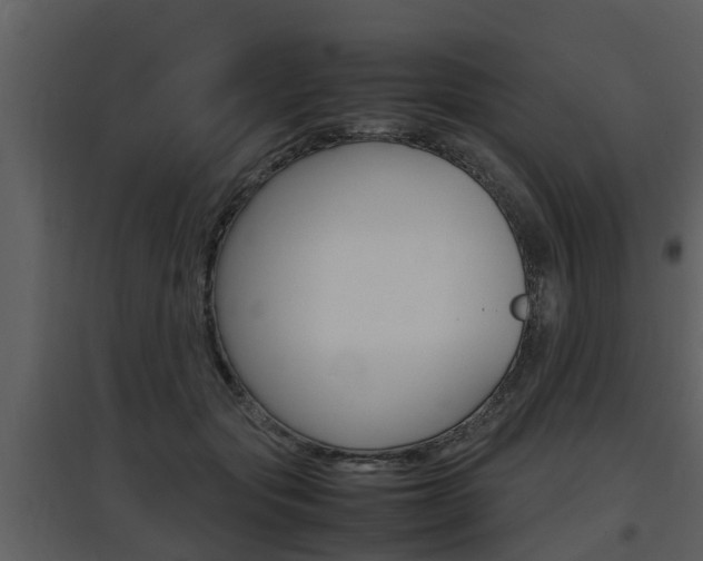 X0000097840557200803140837