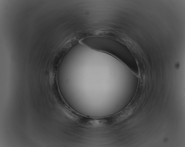 X0000097840558200803140837