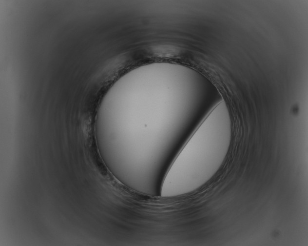 X0000097840559200803140837