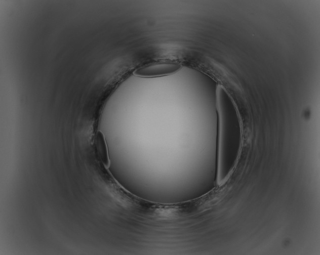 X0000097840560200803140837