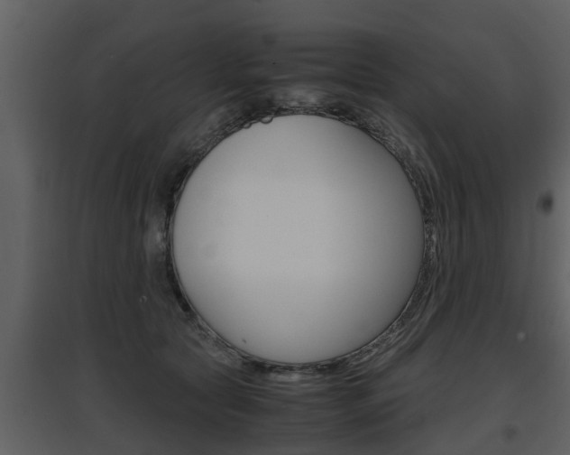 X0000097840561200803140837