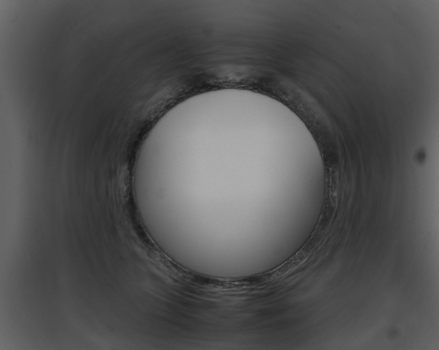 X0000097840563200803140837