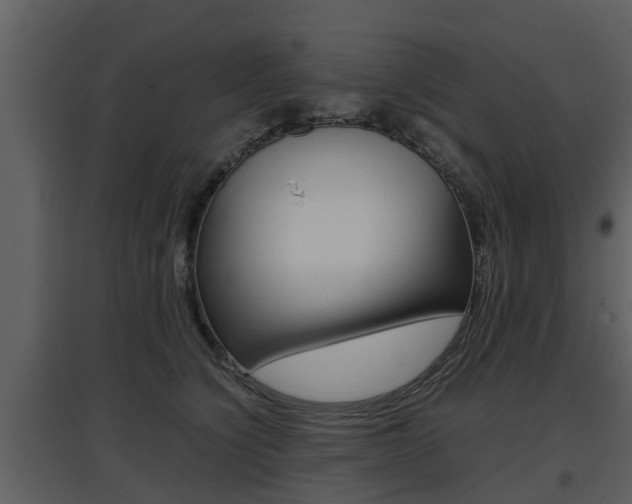 X0000097840564200803140837