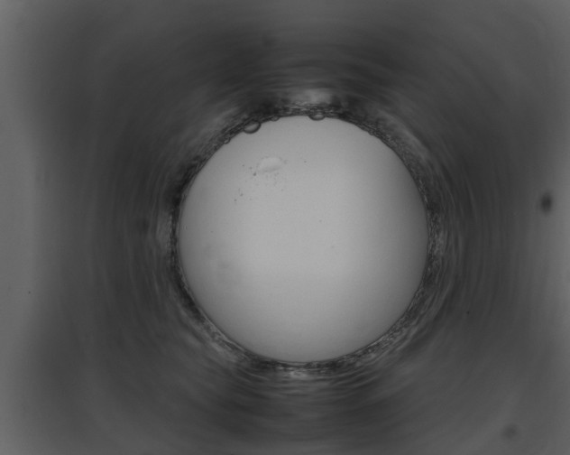X0000097840565200803140837