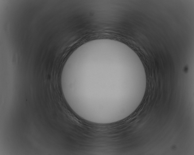 X0000097840566200803140837