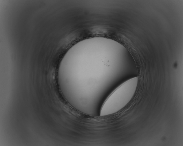 X0000097840567200803140837