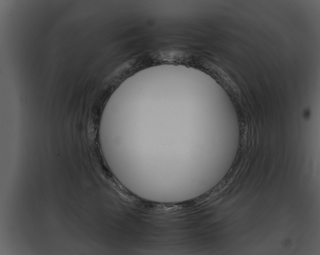 X0000097840569200803140837