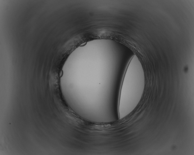 X0000097840571200803140837