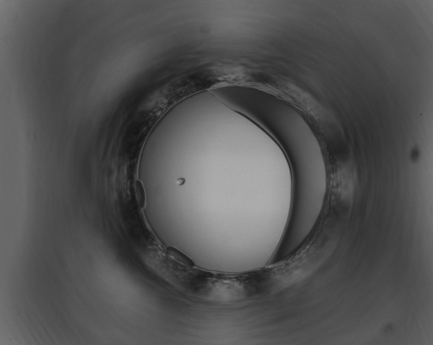 X0000097840572200803140837