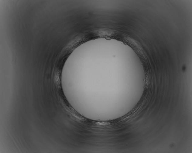 X0000097840573200803140837