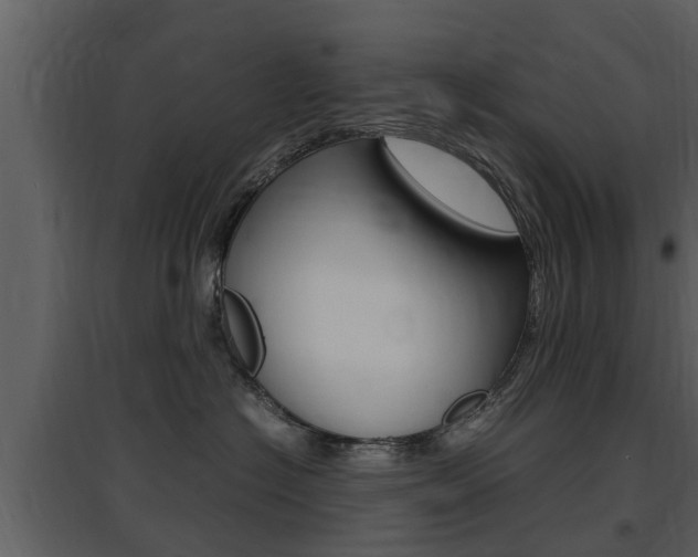 X0000097840574200803140837