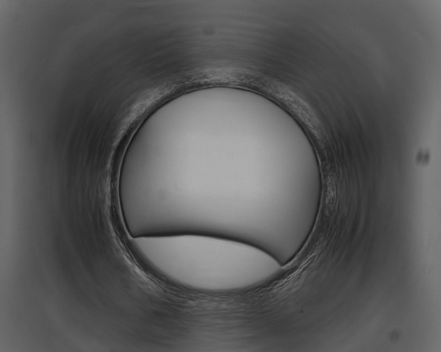 X0000097840578200803140836