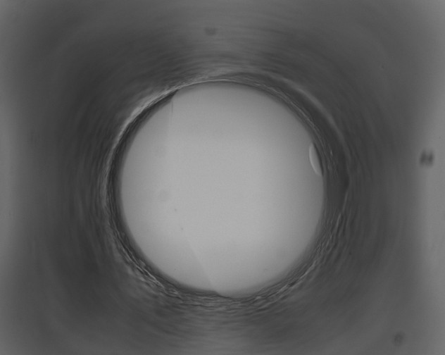 X0000097840579200803140836