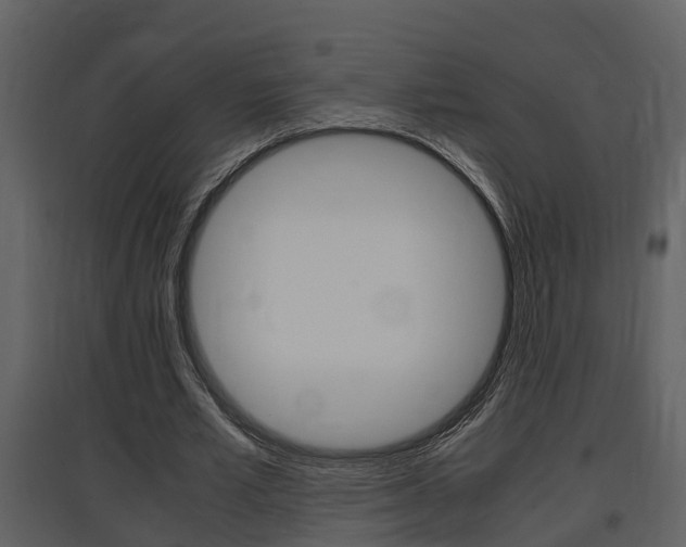 X0000097840581200803140836