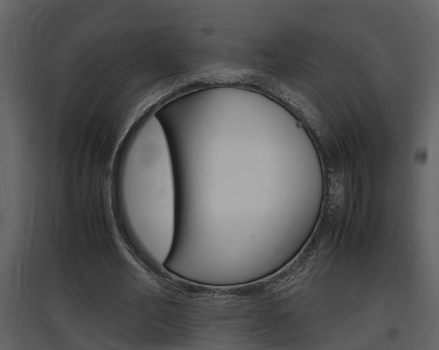 X0000097840582200803140836