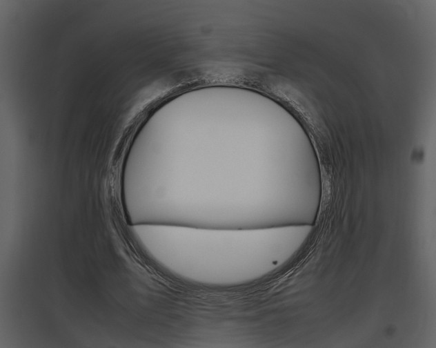 X0000097840583200803140836