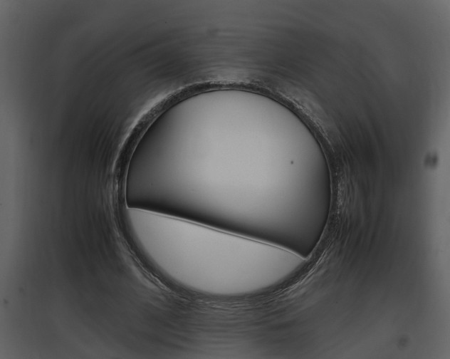 X0000097840584200803140836