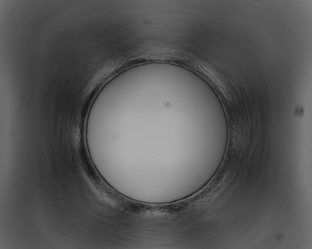 X0000097840586200803140836