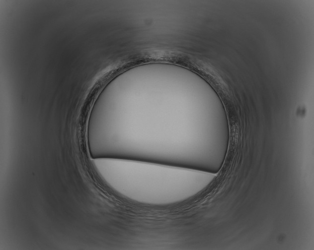 X0000097840587200803140836