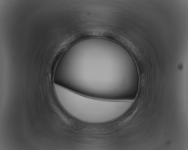 X0000097840589200803140836