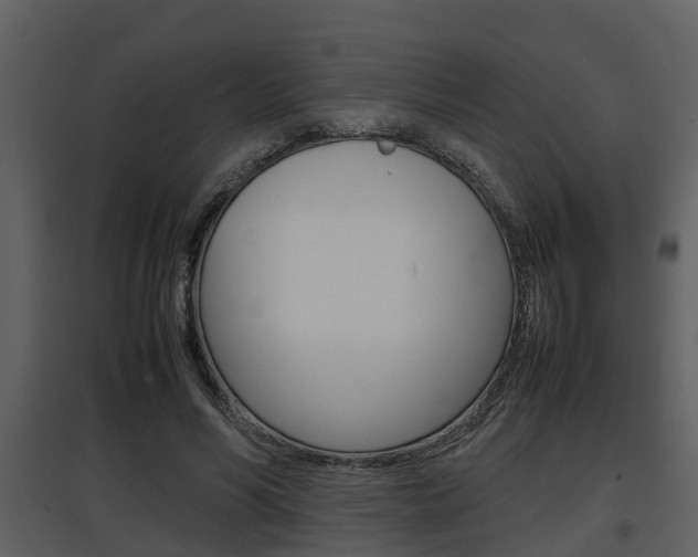 X0000097840590200803140836