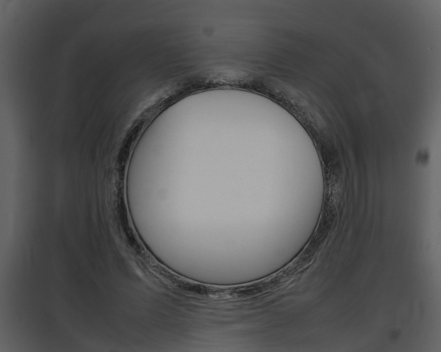 X0000097840591200803140836