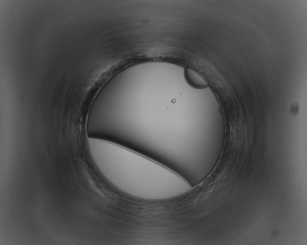 X0000097840592200803140836