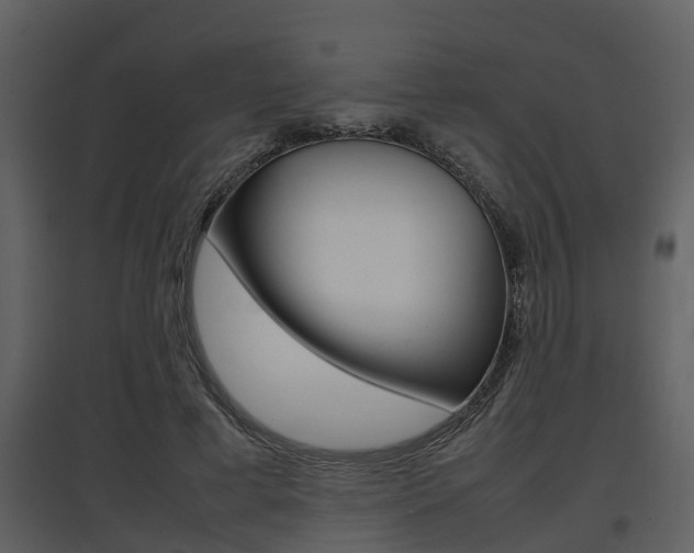 X0000097840593200803140836