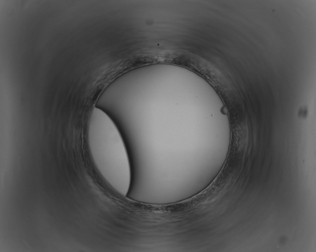 X0000097840594200803140836